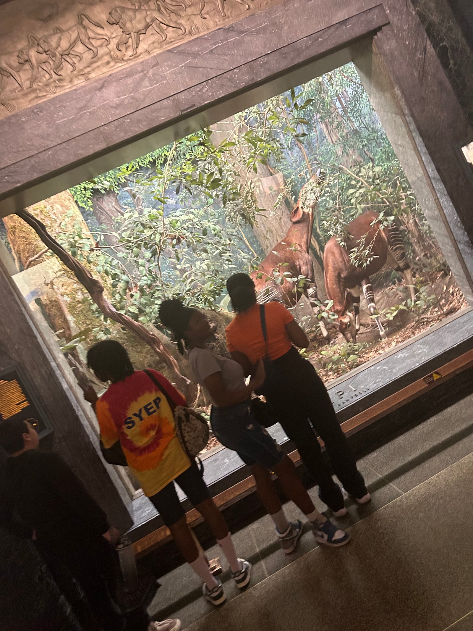 Claremont Rising Program - IMG_5504