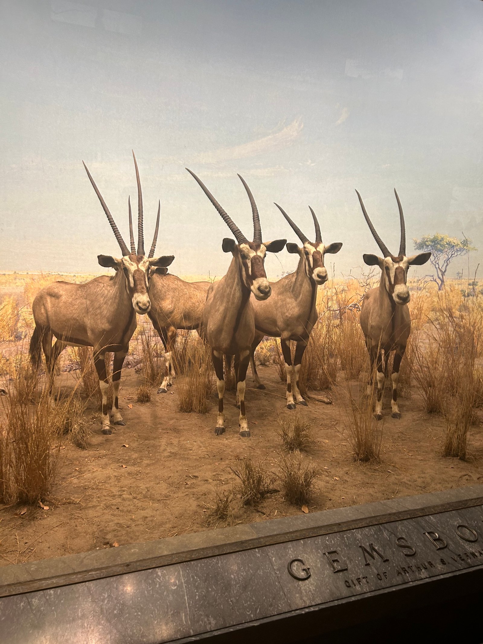 Claremont Rising Program - IMG_5507