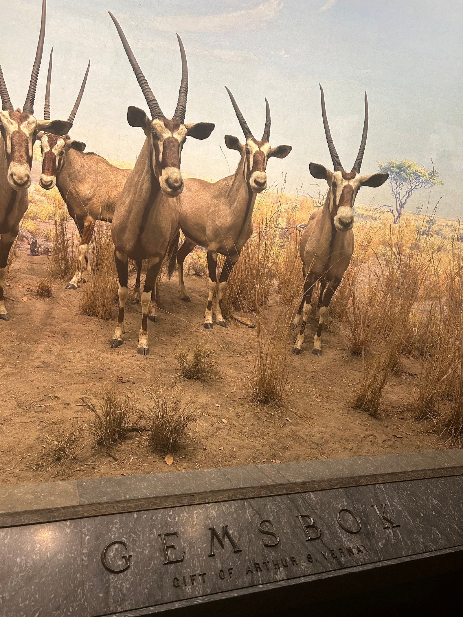 Claremont Rising Program - IMG_5508