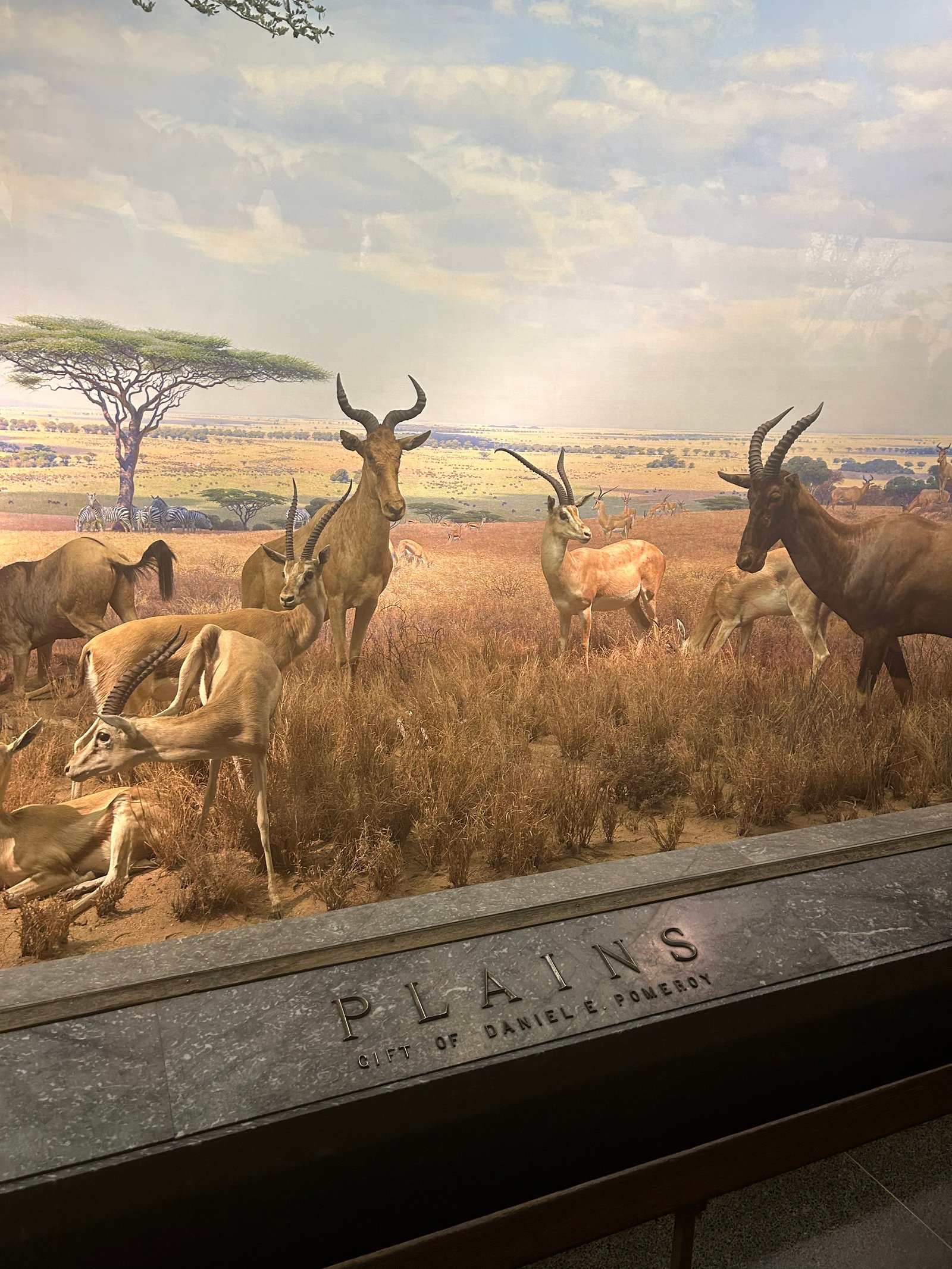 Claremont Rising Program - IMG_5514