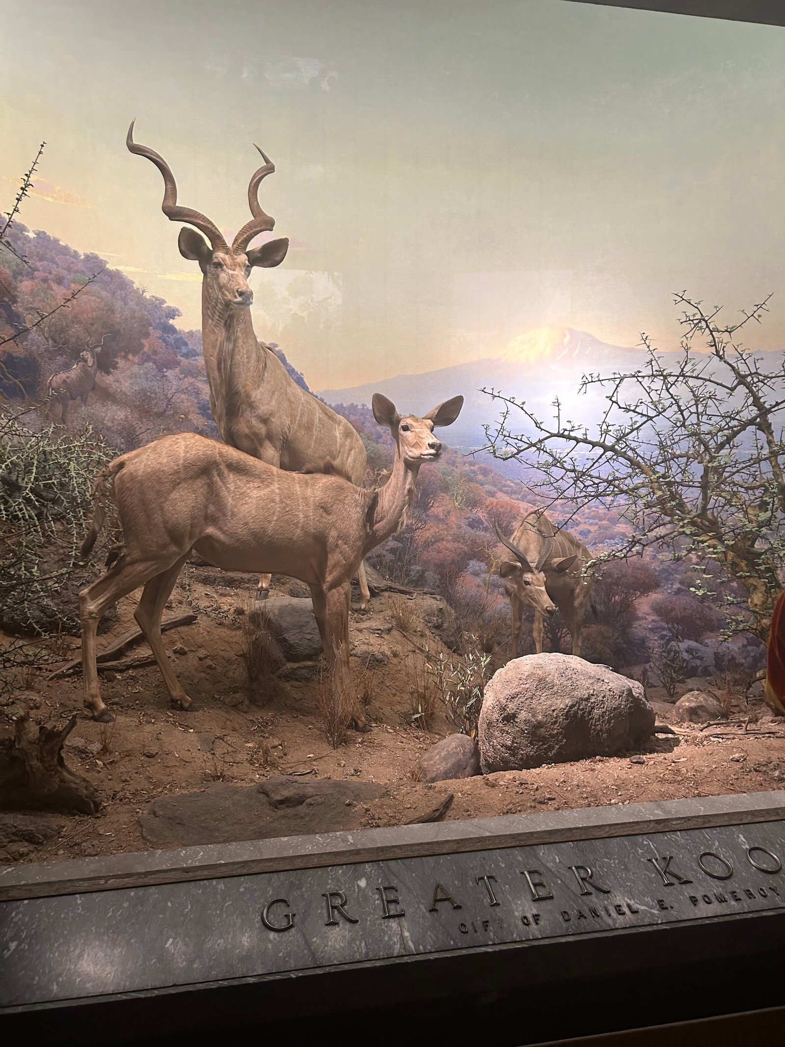 Claremont Rising Program