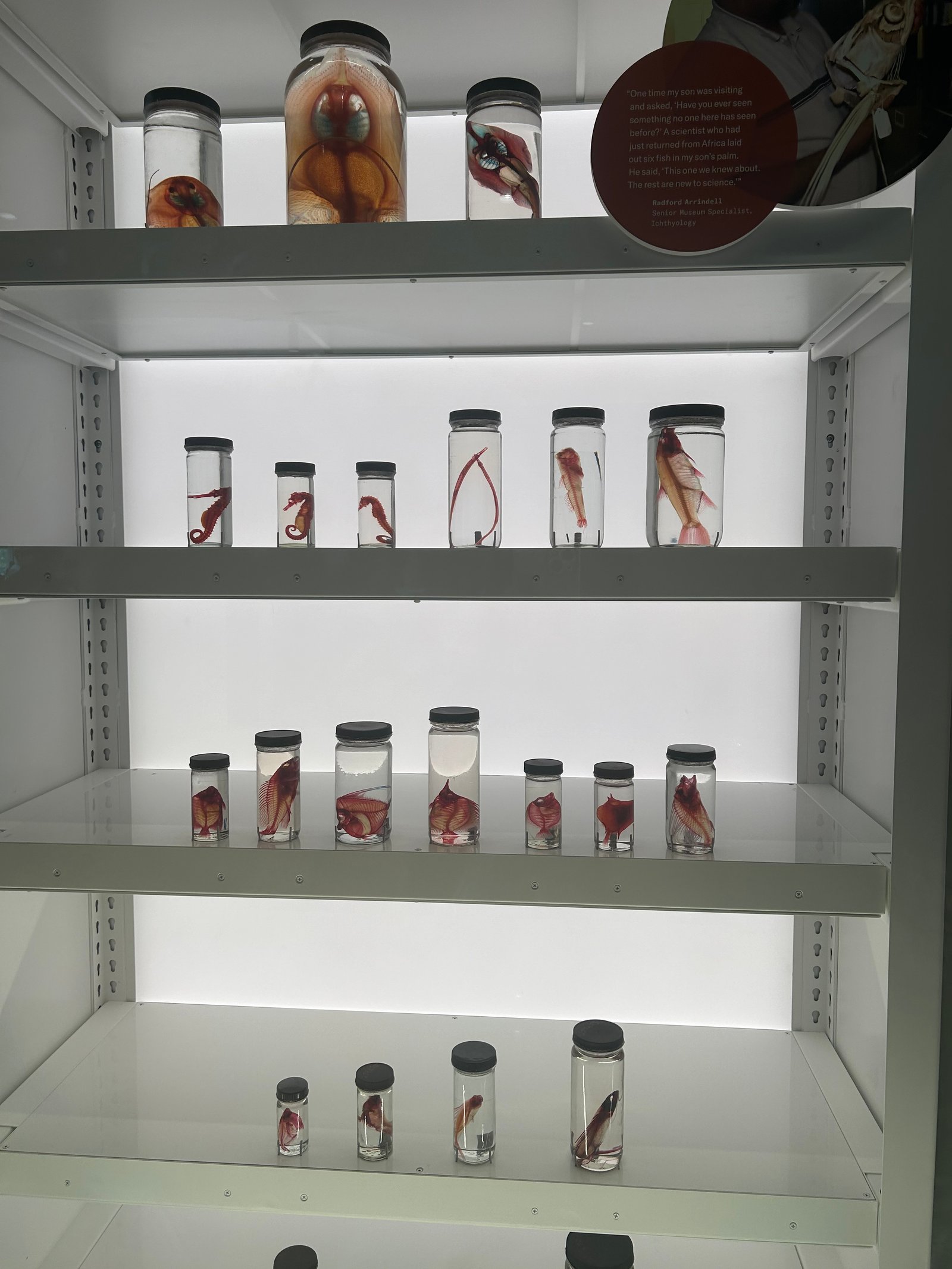 Claremont Rising Program - IMG_5525