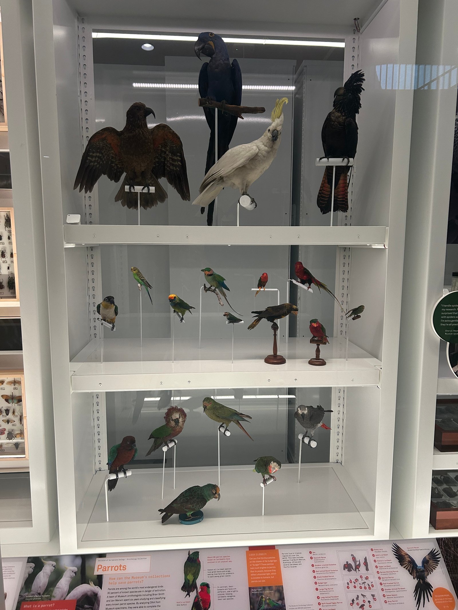 Claremont Rising Program - IMG_5527