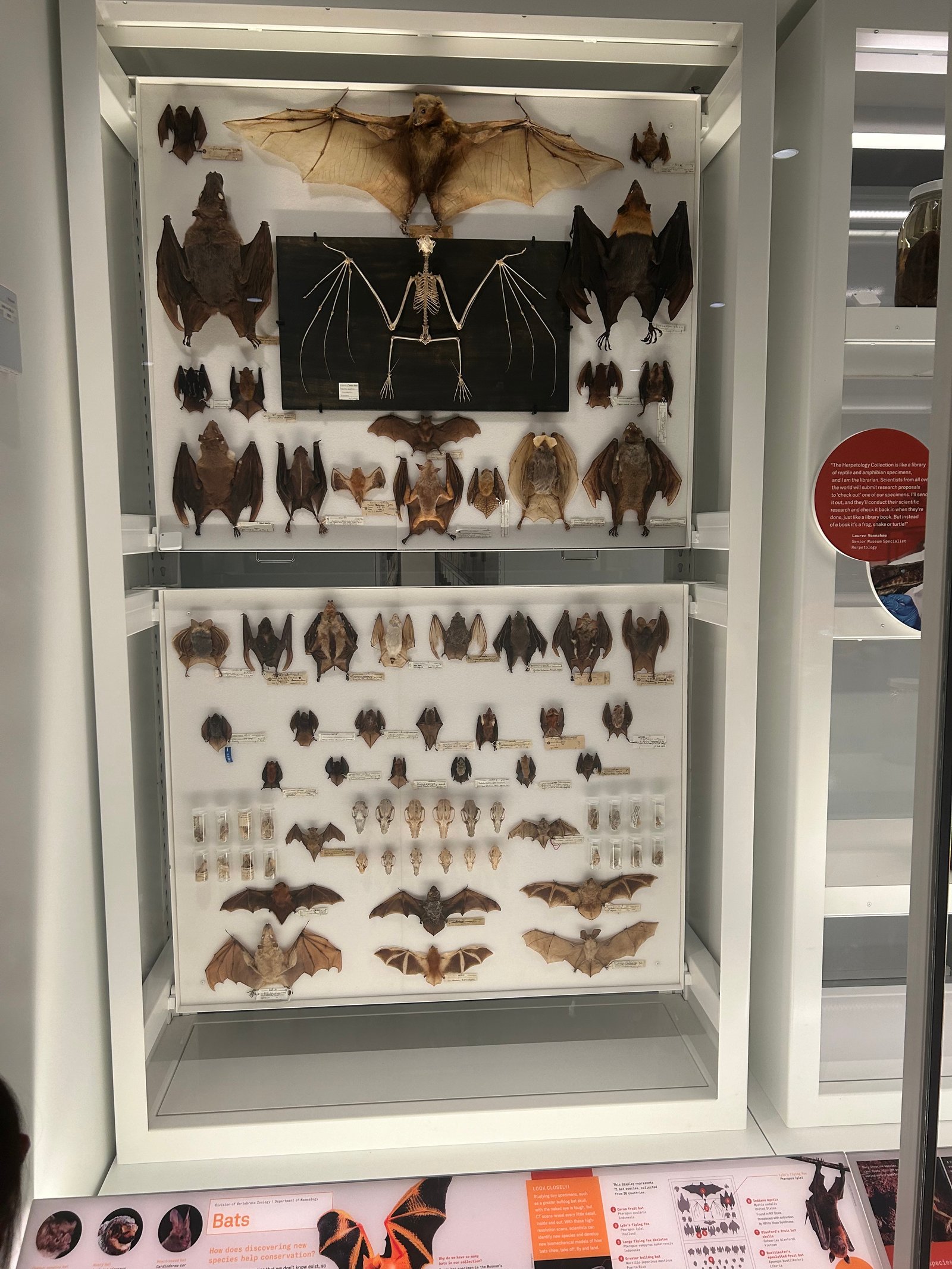 Claremont Rising Program - IMG_5531