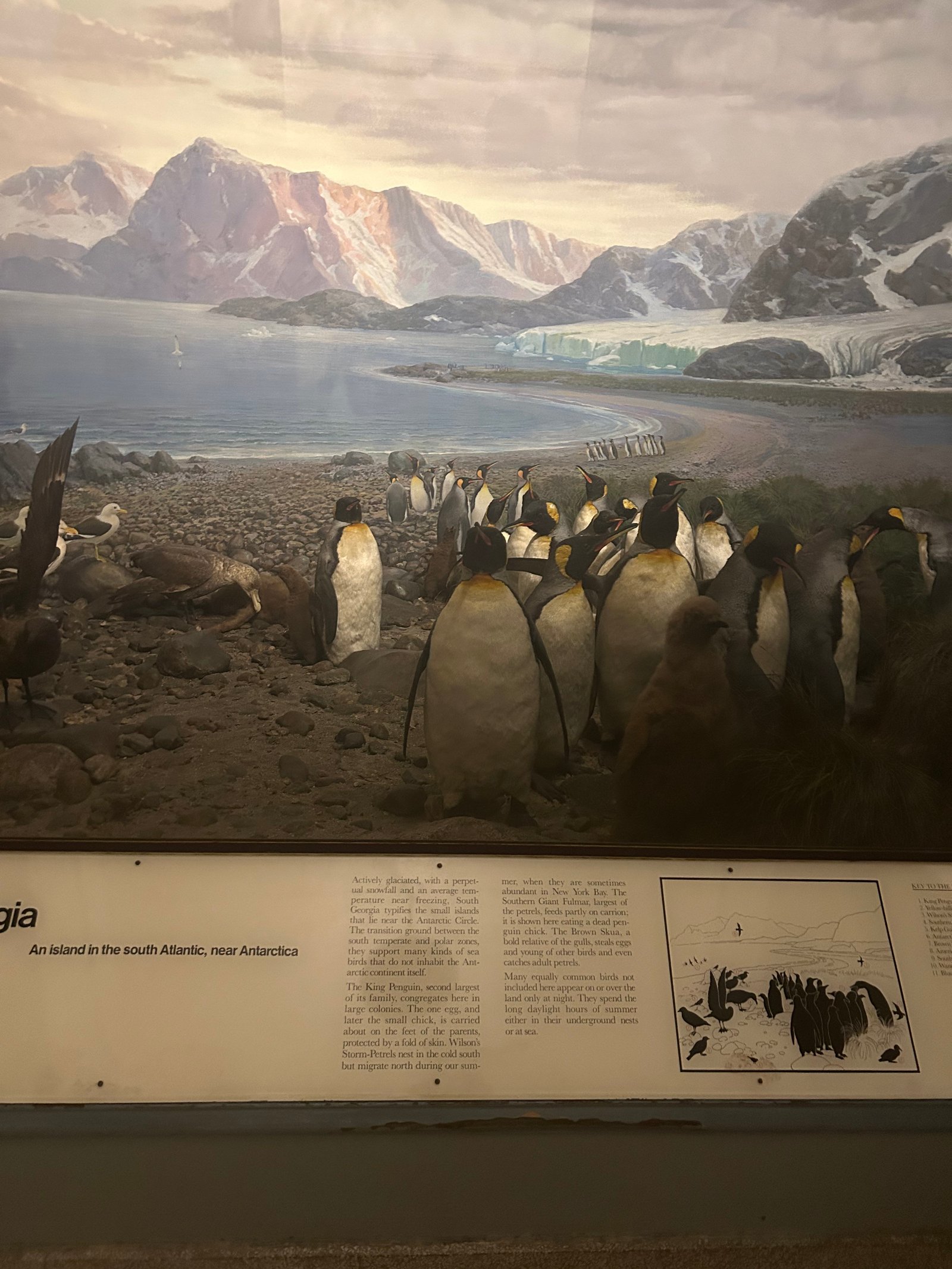 Claremont Rising Program - IMG_5545